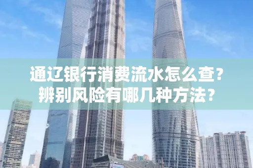 通辽银行消费流水怎么查？辨别风险有哪几种方法？